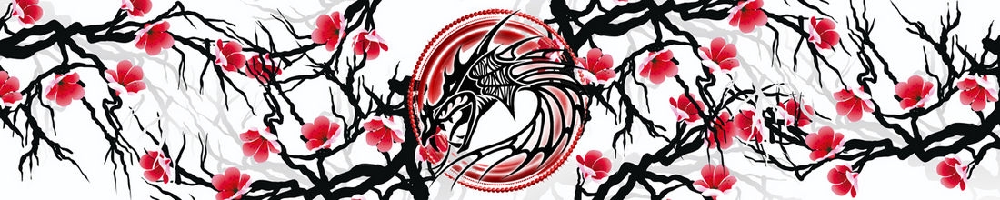 skinali 2528